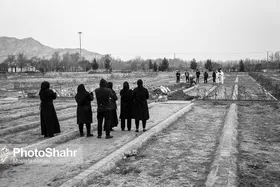 این راه به گورستان می&zwnj;رود