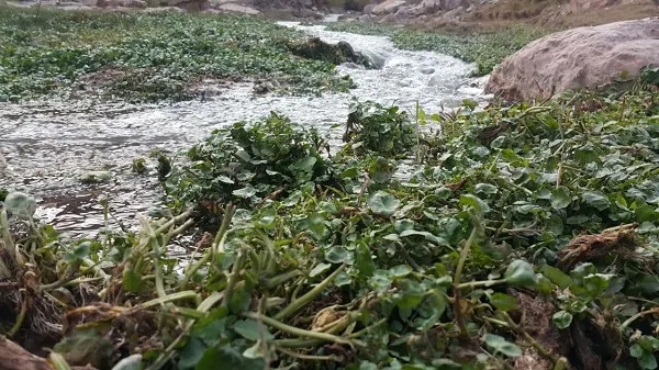 شهروند خبرنگار| طبیعت اطراف کلات در حوالی مشهد