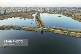 گزارش تصویری | وقتی تالاب&zwnj; می&zwnj;میرد...