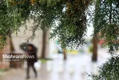 پیش‌بینی هواشناسی مشهد و خراسان رضوی امروز (یکشنبه ۲۴ فروردین ۱۴۰۴) | افزایش سرعت وزش باد و کاهش دما تا پایان هفته جاری