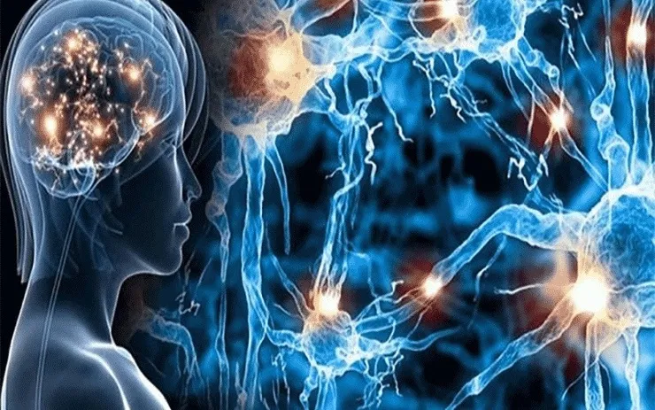 راهکار‌های ساده طب سنتی برای درمان ام اس