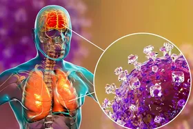 همه&zwnj;چیز درباره ویروس نیپا + علائم، راه&zwnj;های پیشگیری و مقایسه با کرونا