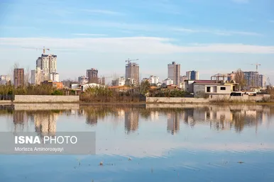 گزارش تصویری | وقتی تالاب‌ می‌میرد...