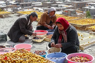 بام‌های طلایی خرو