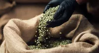 مکمل‌های کاهش وزن، مسیری غیرقابل اعتماد| با چند مکمل لاغری غیرعلمی بیشتر آشنا شویم
