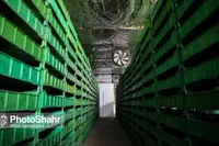 تدوین سند طرح جامع مدیریت پسماند مشهد با همکاری دانشگاه فردوسی