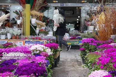 حال و هوای بازار گل در آستانه عید نوروز
