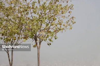 گزارش تصویری | آلودگی هوا در مشهد (۲۲ مهر ۱۴۰۴)