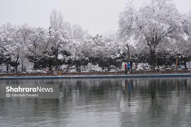 گزارش تصویری | بارش زیبای برف در مشهد