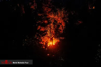 آتش سوزی منطقه حفاظت شده جهان نمای  گلستان