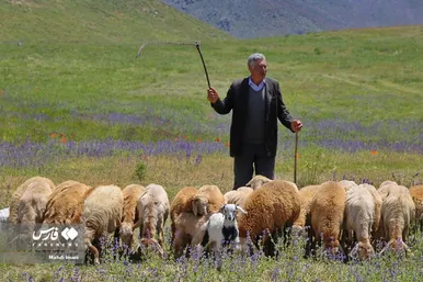 پدر، جانِ زندگی