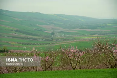 ایران زیباست | طبیعت بهاری روستاهای اطراف ساری