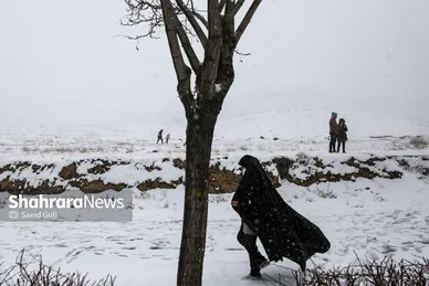 گزارش تصویری | تیوب‌سواری و برف‌بازی مشهدی‌ها (۲۱ بهمن ۱۴۰۳)