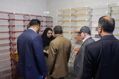 بازدید فرماندار از چهار واحد تولیدی صنایع تبدیلی بخش کشاورزی 