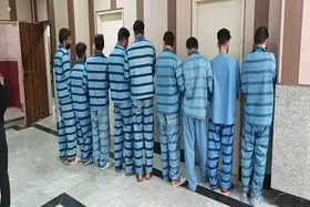 ویدئو| دستگیری سارقان سریالی منازل در یکی از محله&zwnj;های تهران