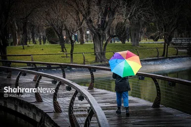 گزارش تصویری | حال و هوای بارانی مشهد | یکشنبه ۱۹ اسفند ۱۴۰۳