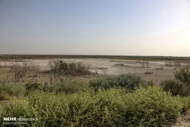 مرگ هورالعظیم