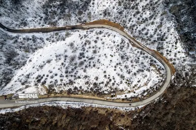 گلستان در زمستان