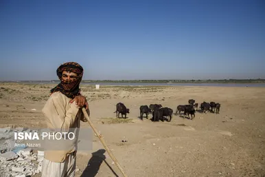 منطقه گاومیش آباد در اهواز