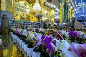 ویدئو| آمادگی خادمان کربلا و نجف برای برگزاری جشن میلاد حضرت زهرا (س)