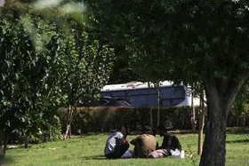 فوت ۲۲ معتاد متجاهر و افراد بی&zwnj;خانمان در تصادف&zwnj;های بزرگراهی