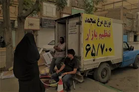 توزیع مرغ منجمد در بازار مشهد در حال انجام است