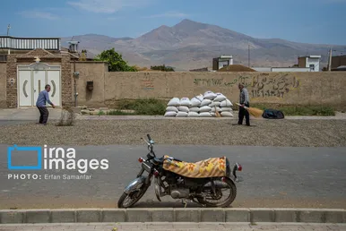 ایران زیباست | «خوی»؛ قطب تولید دانه‌های روغنی آفتابگردان