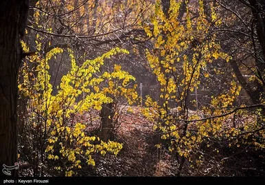 ایران زیباست | پاییز رنگارنگ کردستان
