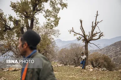 روستاهای زلزله زده اندیکا