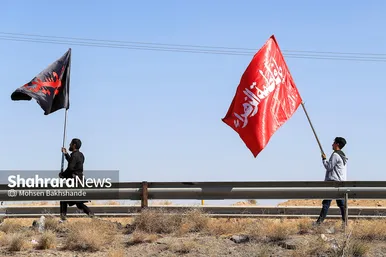 زائران پیاده امام رضا (علیه السلام)