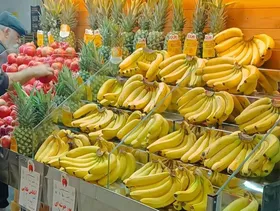 چرا قیمت برخی میوه&zwnj;ها در سطح شهر پایین&zwnj;تر از میادین تره&zwnj;بار مشهد است؟