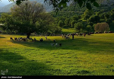 ایران زیباست | طبیعت بهاری منطقه دره اناران سپیدشت خرم آباد