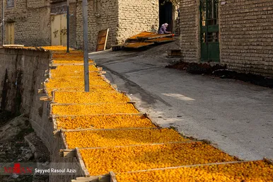 بام‌های طلایی خرو