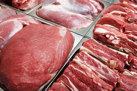 قیمت امروز گوشت، مرغ و تخم مرغ در مشهد (۱۵ شهریور ۱۴۰۵) | جهش قیمت گوشت گوساله