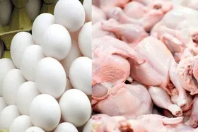 قیمت مرغ و تخم&zwnj;مرغ در بازار امروز (۲۱ شهریور ۱۴۰۳)