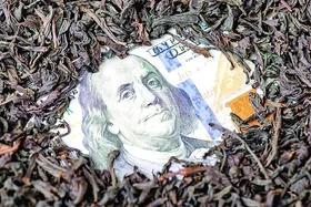 ارز ناشی از تخلف چای به خزانه بازمی&zwnj;گردد؟