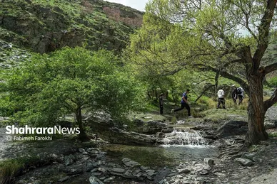 گزارش تصویری | دره «ارغوان» مشهد