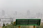 سهم شهرداری مشهد از عوارض آلایندگی، تقریباً هیچ!