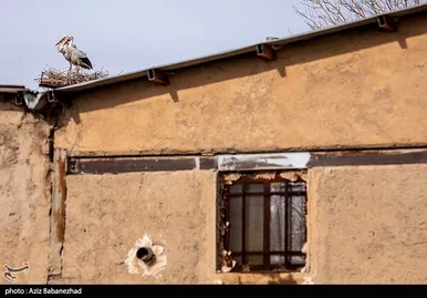 ایران زیباست | همزیستی لک لک‌ها در روستای کپر جودکی بروجرد با مردم روستا