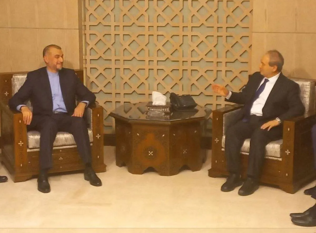 امیرعبداللهیان با وزیر خارجه سوریه دیدار کرد