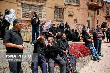 محرم ۱۴۰۴ | عکس‌هایی از نخل‌گردانی روز عاشورا در روستای تاریخی ابیانه - اصفهان