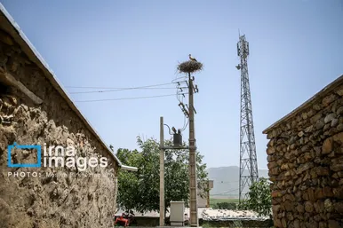 «خداوند لک‌لک‌ها را دوست دارد»