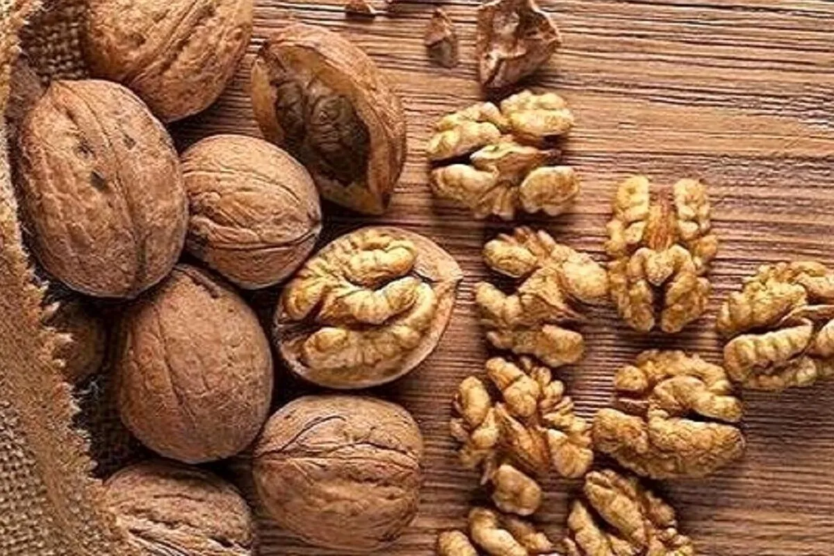اسید‌های چرب امگا۳ موجود در گردو برای عملکرد مغز، حافظه و عملکرد شناختی، حیاتی است