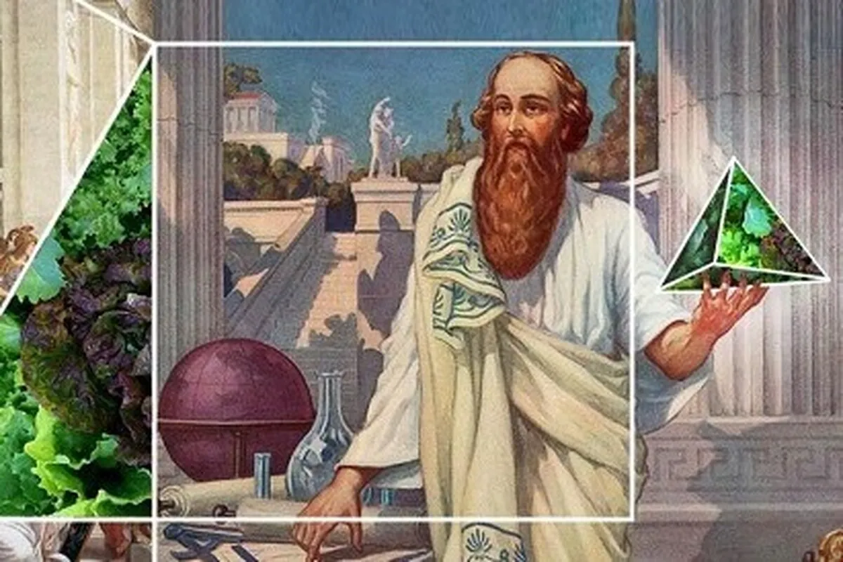 فیثاغورس، افلاطون و ارسطو زیبایی را چگونه می‌فهمیدند؟