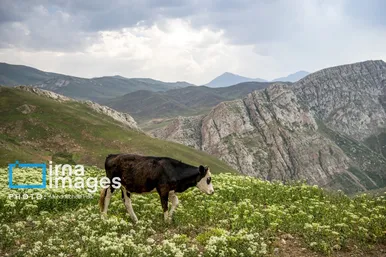 ایران زیباست | ییلاق در کوهستان