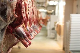 سفارش&zwnj;گیری آنلاین گوشت قربانی در مشهد