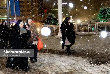 گزارش تصویری | حبس برف
