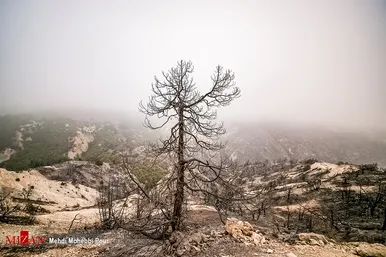 آتش سوزی منطقه حفاظت شده جهان نمای  گلستان