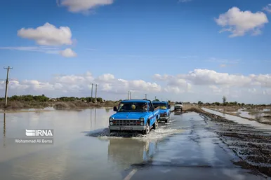 واکسیناسیون دام در مناطق سیل زده