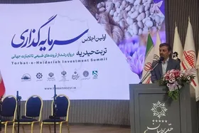معاون اقتصادی استاندار: تحقق رشد اقتصادی خراسان رضوی نیازمند ۷۰۰ همت سرمایه&zwnj;گذاری جدید است